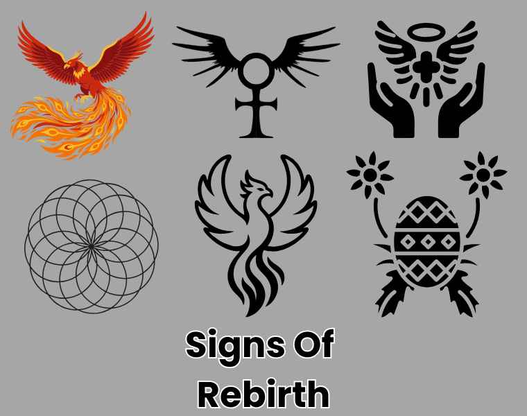 Signs Of Rebirth