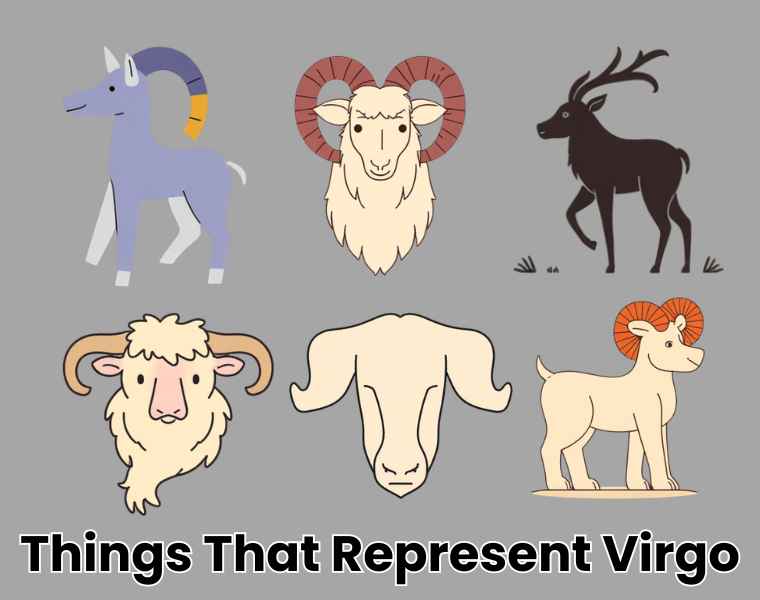 Things That Represent Virgo